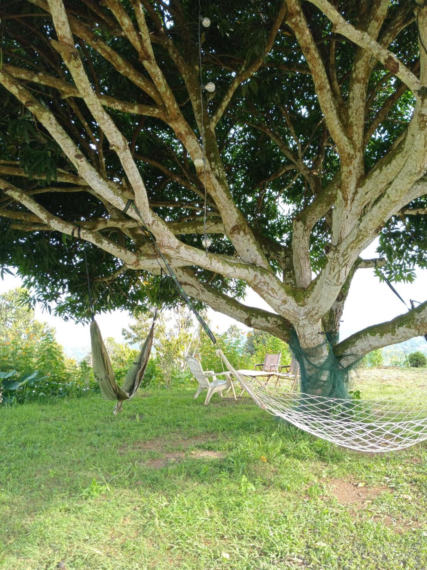 Country Lodge At Eco Valley Retreat Tawau Zewnętrze zdjęcie